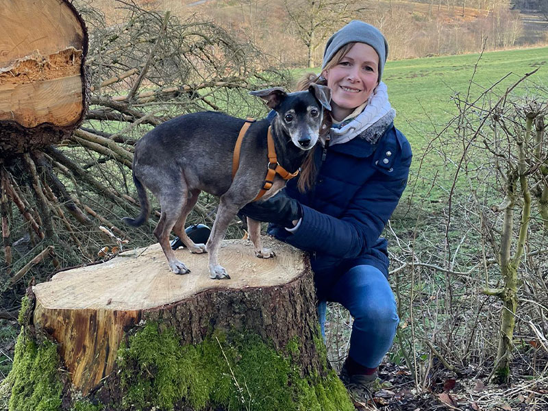 Pro Pet Bürohunde