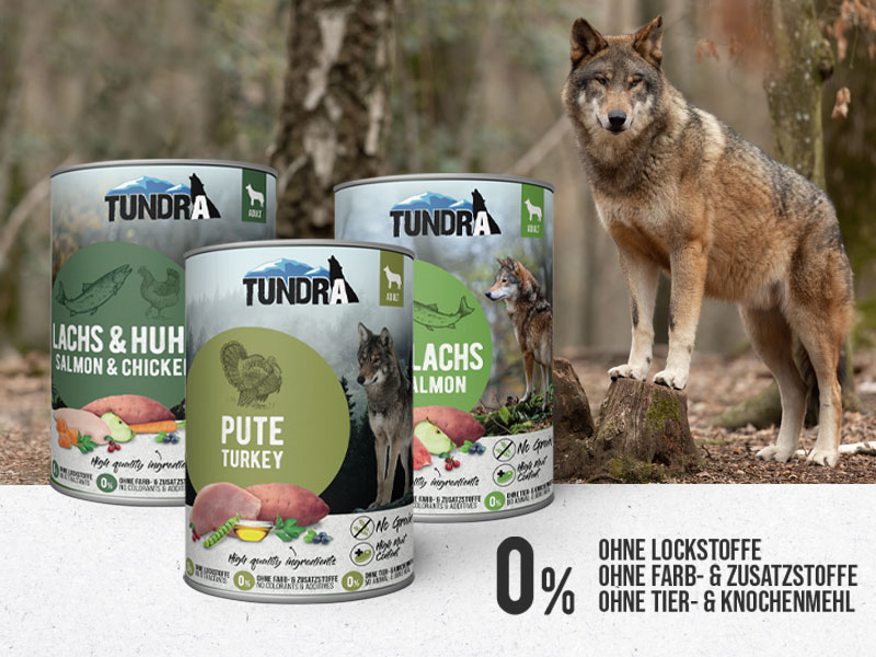 Tundra in neuem Design